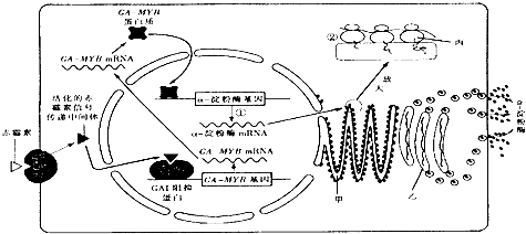 澳门·威尼斯人(中国)官方网站